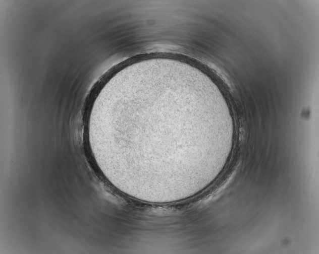 X0000100961117200807221138