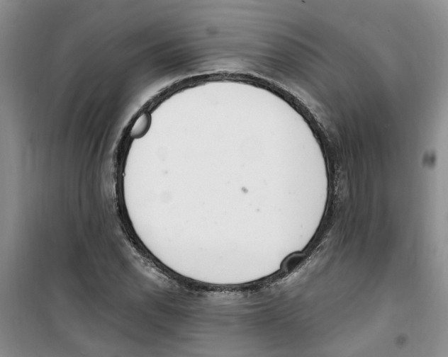 X0000100961118200807221138