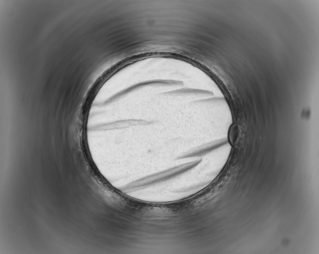 X0000100961119200807221138