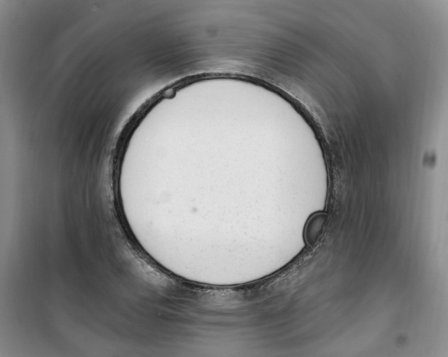 X0000100961120200807221138