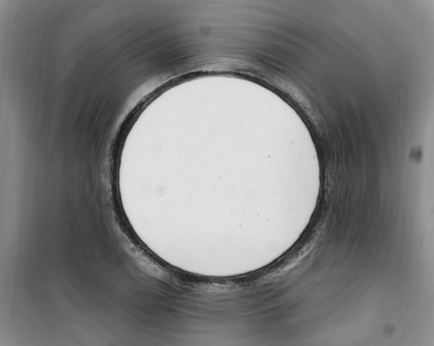 X0000100961122200807221138