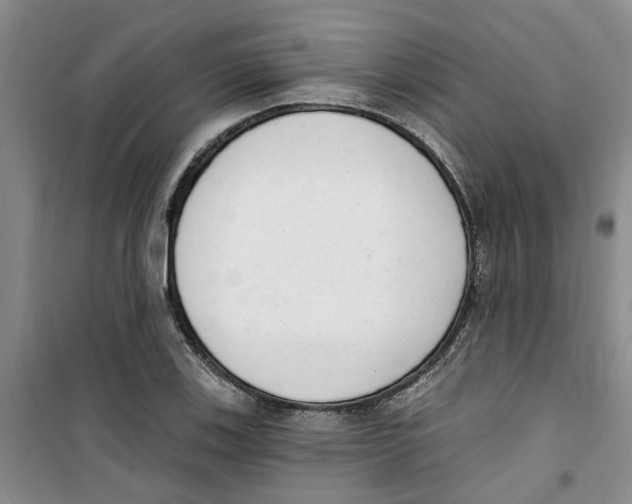 X0000100961123200807221138