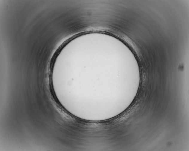 X0000100961124200807221138