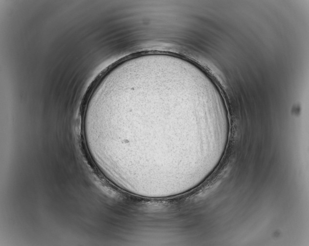 X0000100961125200807221138