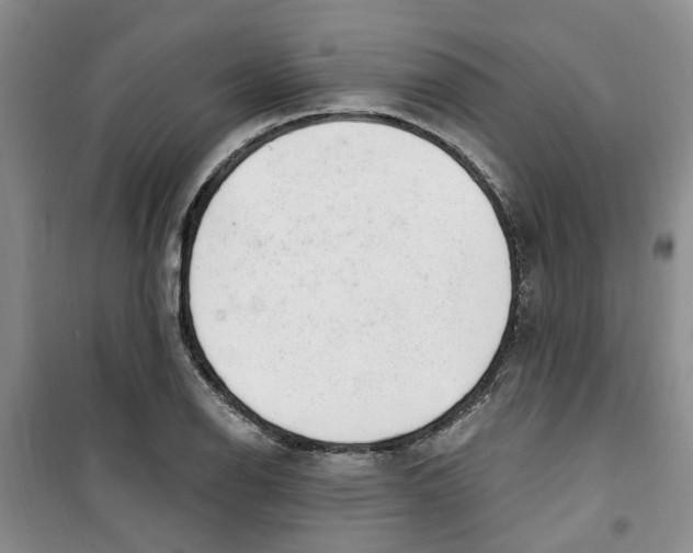 X0000100961126200807221138