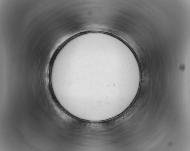 X0000100961128200807221139