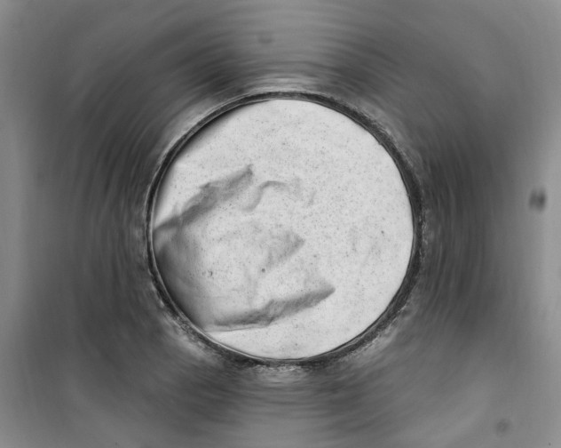 X0000100961129200807221139