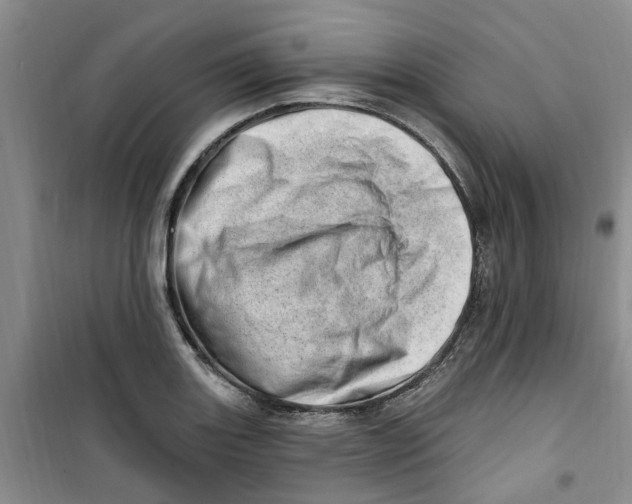 X0000100961131200807221139