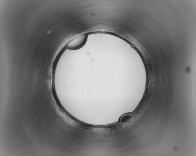 X0000100961132200807221139