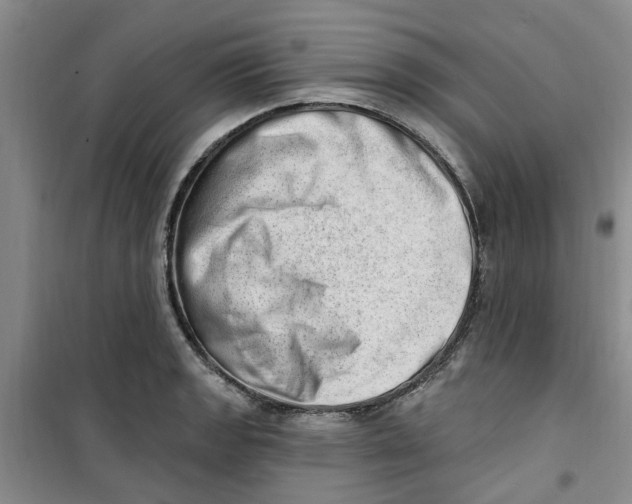 X0000100961133200807221139