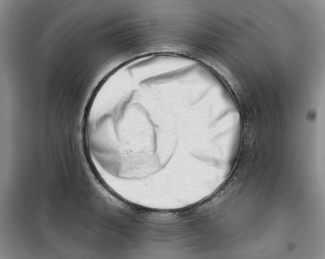 X0000100961135200807221139