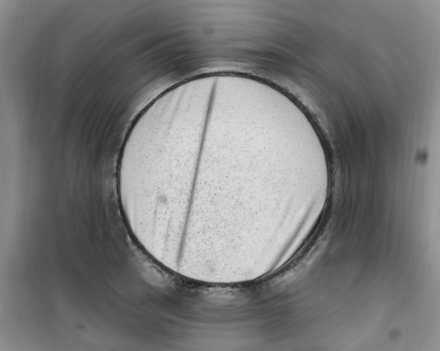 X0000100961137200807221139