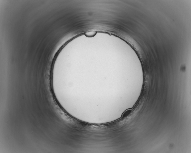 X0000100961138200807221139