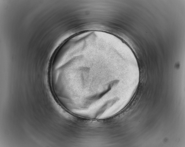 X0000100961139200807221139