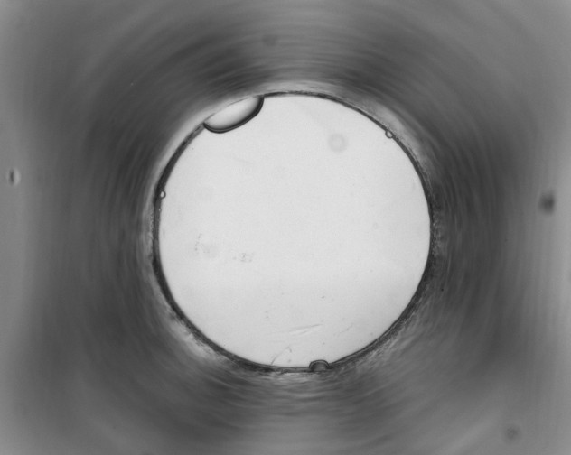 X0000100961140200807221139