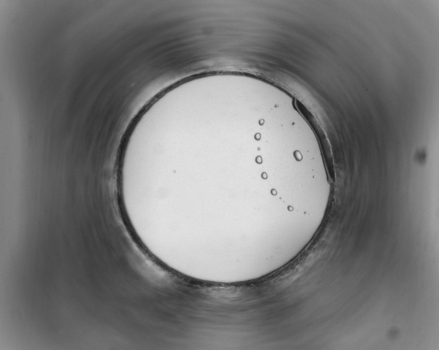 X0000100961141200807221139