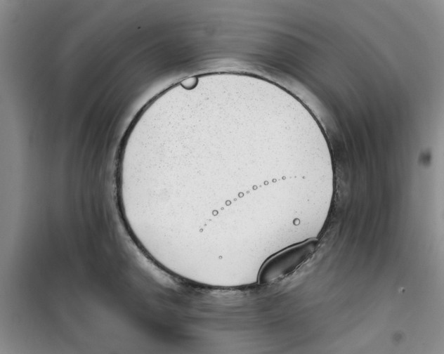 X0000100961142200807221139