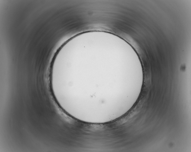 X0000100961144200807221139