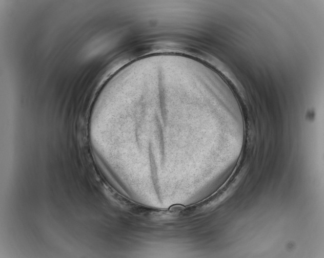 X0000100961145200807221139