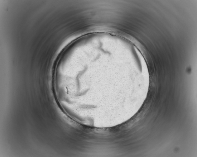 X0000100961147200807221139