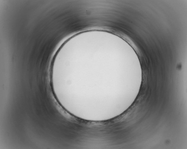 X0000100961148200807221139