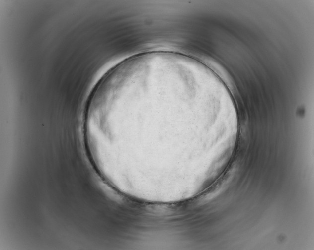 X0000100961149200807221139