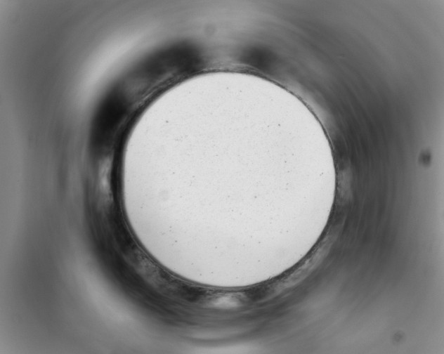 X0000100961150200807221139