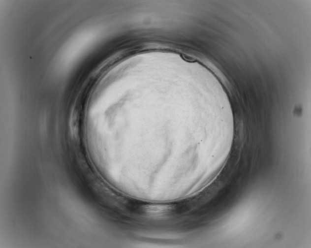 X0000100961151200807221139