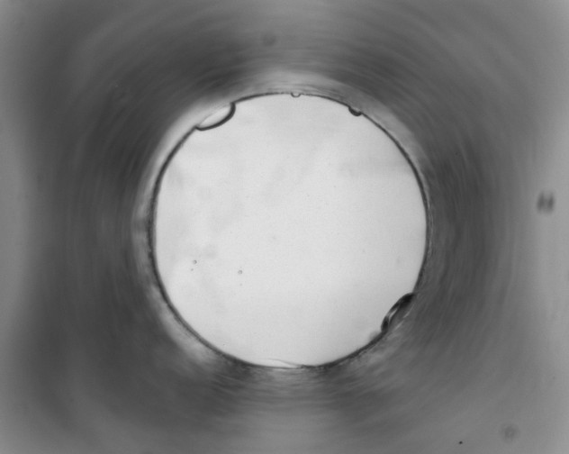 X0000100961152200807221139