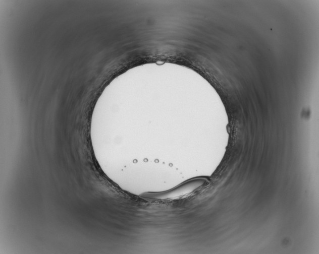 X0000100961153200807221138