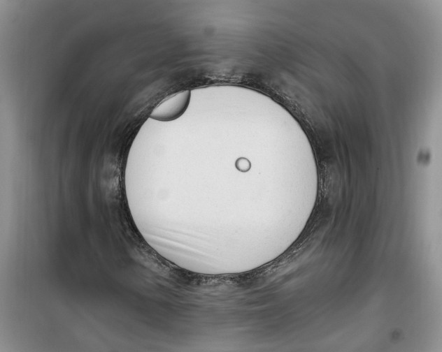 X0000100961154200807221138