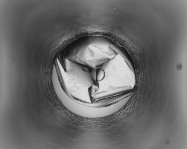 X0000100961157200807221138