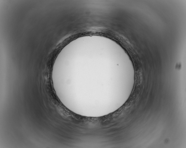 X0000100961158200807221138