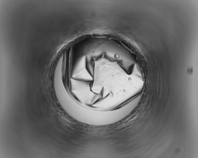 X0000100961160200807221138