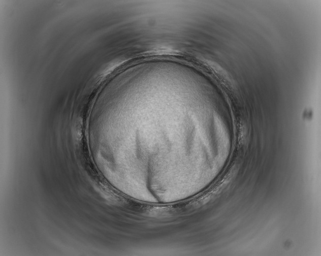 X0000100961161200807221138