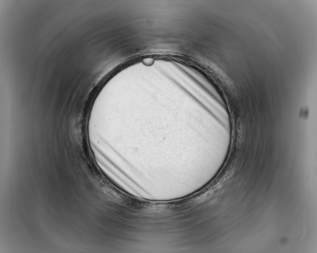 X0000100961162200807221138