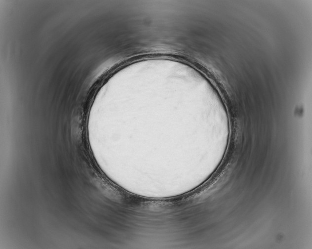 X0000100961163200807221138