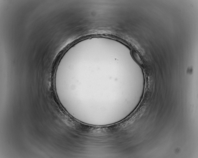 X0000100961165200807221138