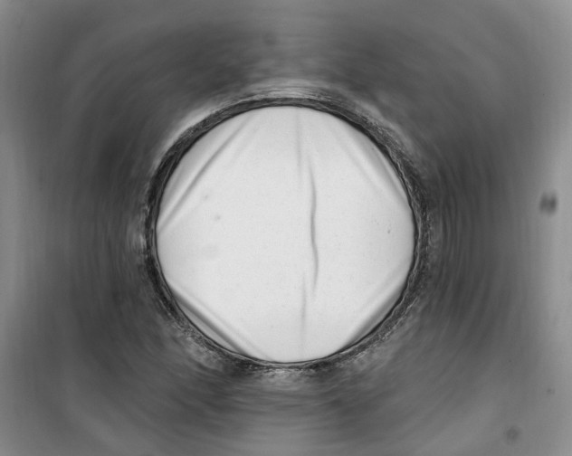 X0000100961166200807221138