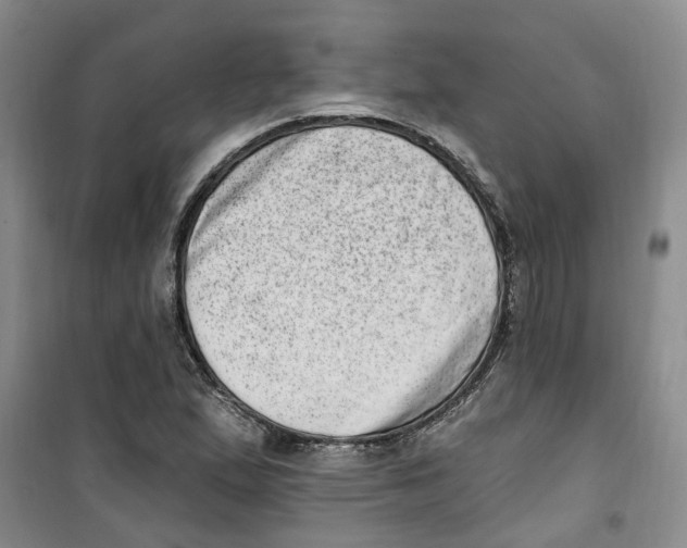 X0000100961167200807221138