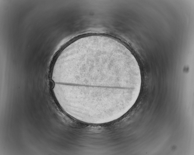 X0000100961168200807221138