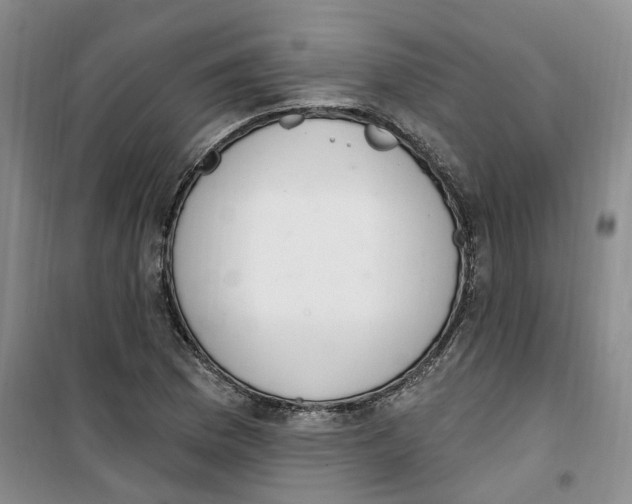 X0000100961169200807221138