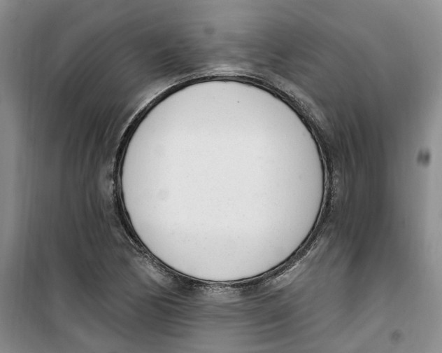 X0000100961170200807221138