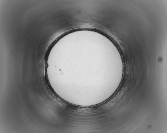 X0000100961171200807221138