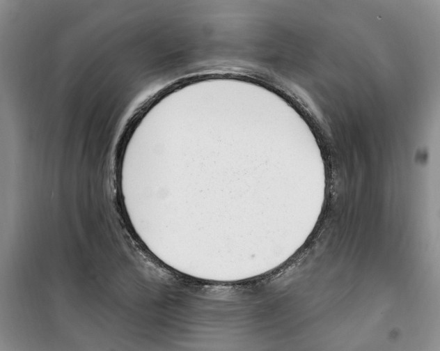 X0000100961172200807221138