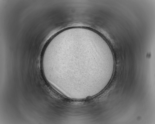 X0000100961173200807221138