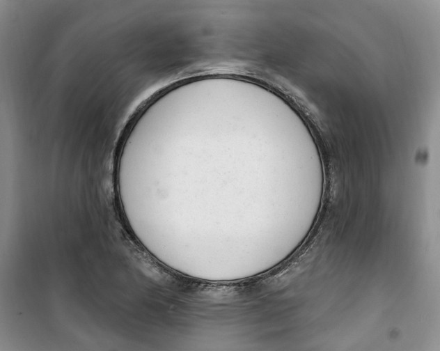 X0000100961174200807221138