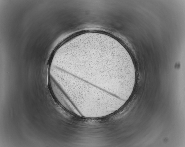 X0000100961175200807221138