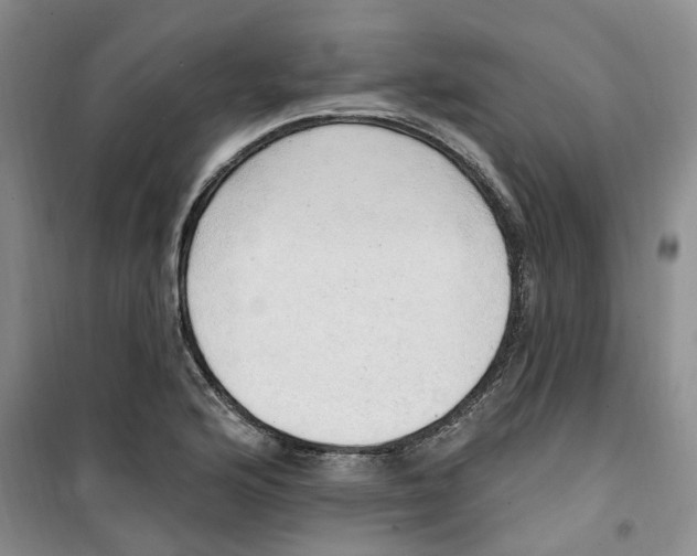 X0000100961176200807221138