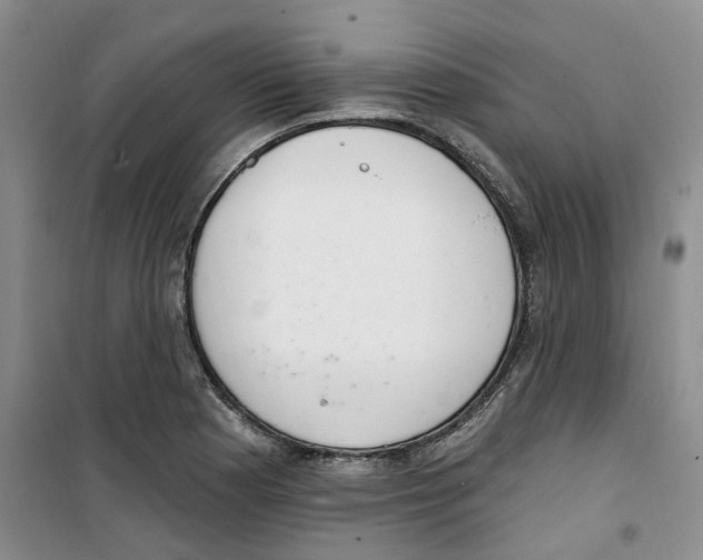 X0000100961177200807221138